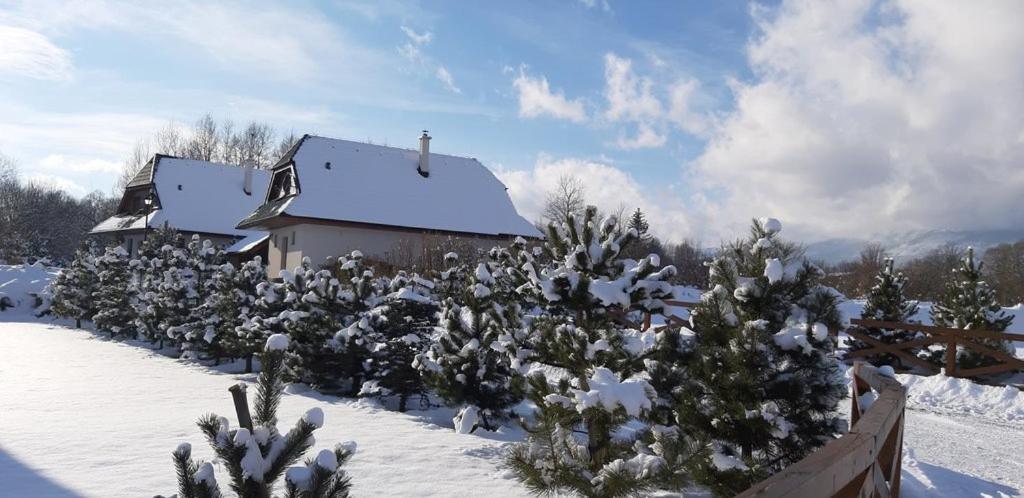 House Sabala 3 * Stara Lesna
